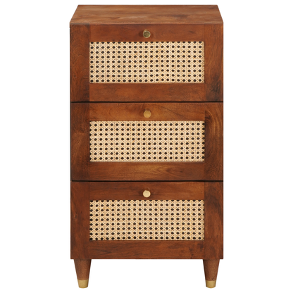 vidaXL Sideboard Braun 40 x 33,5 x 75 cm Massivholz Mango
